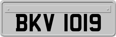 BKV1019