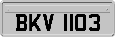 BKV1103