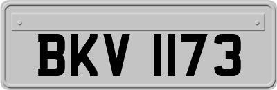 BKV1173