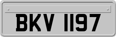 BKV1197