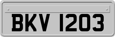 BKV1203