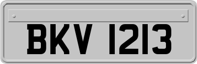 BKV1213