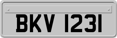 BKV1231