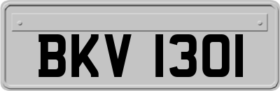BKV1301