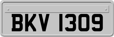 BKV1309