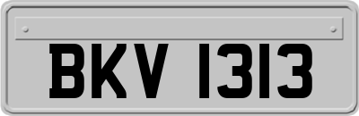 BKV1313