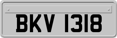 BKV1318