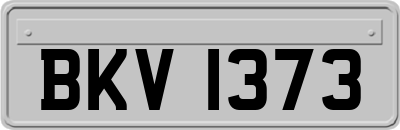 BKV1373