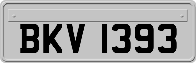 BKV1393