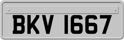 BKV1667