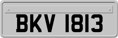 BKV1813