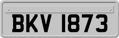 BKV1873