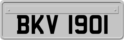 BKV1901