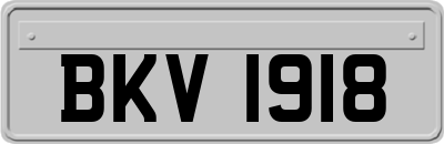 BKV1918