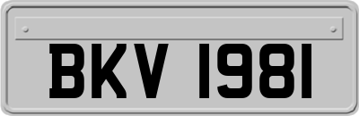 BKV1981