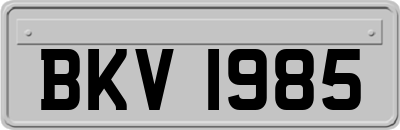 BKV1985