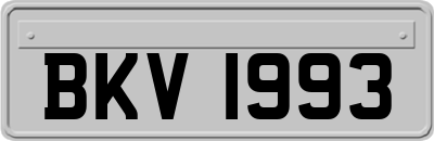 BKV1993