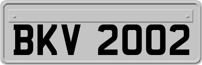 BKV2002