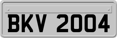 BKV2004