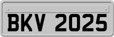 BKV2025