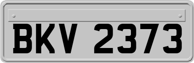 BKV2373