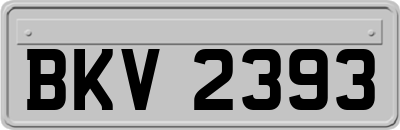 BKV2393