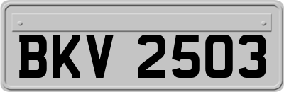 BKV2503