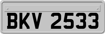 BKV2533