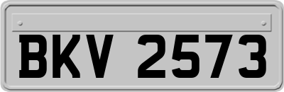 BKV2573