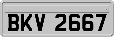 BKV2667