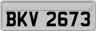 BKV2673