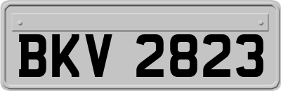 BKV2823