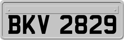 BKV2829