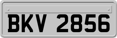 BKV2856