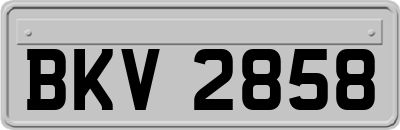 BKV2858