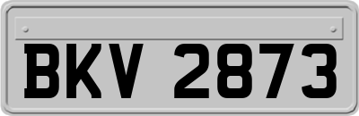 BKV2873