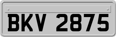 BKV2875