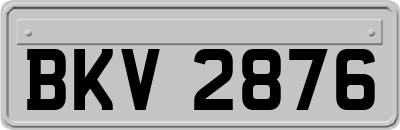 BKV2876