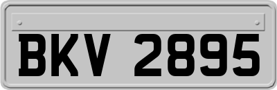 BKV2895