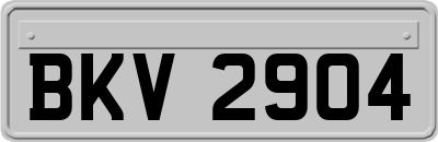 BKV2904