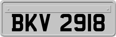 BKV2918