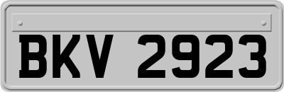BKV2923