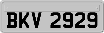 BKV2929