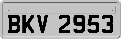 BKV2953