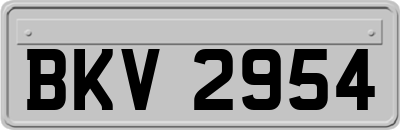 BKV2954