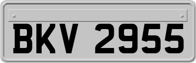 BKV2955