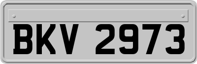 BKV2973