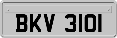 BKV3101