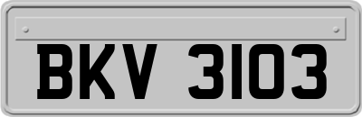 BKV3103