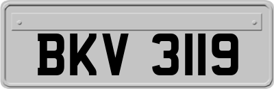 BKV3119